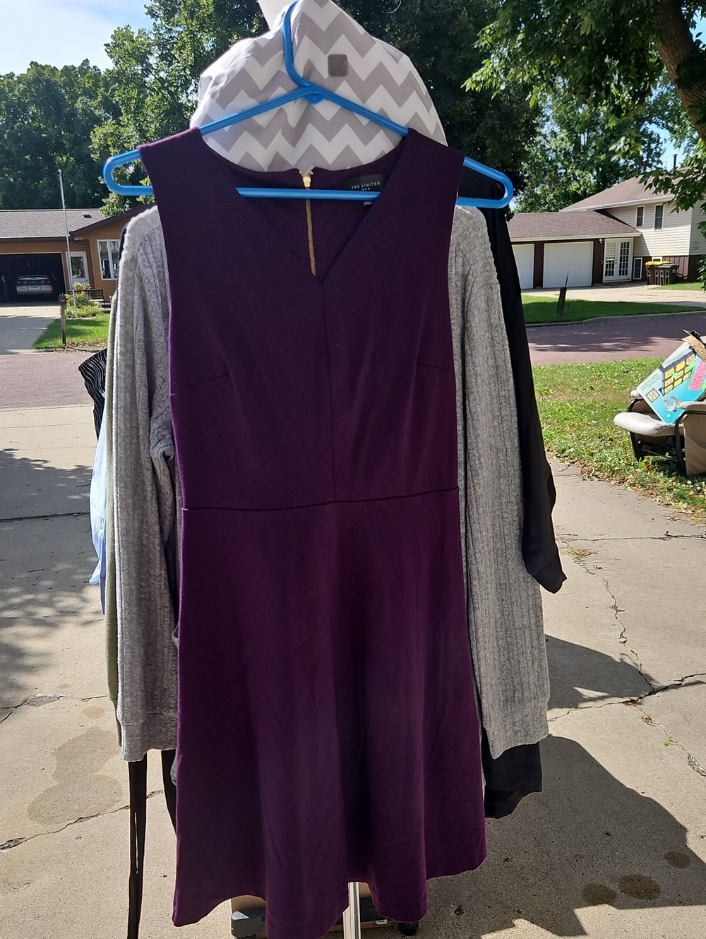 The Limited Deep Plum Sleeveless V-Neck A-Line Dress